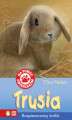 Okładka książki: Trusia. Rozpieszczony królik
