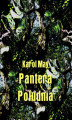 Okładka książki: Pantera południa