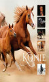 Okładka książki: Konie