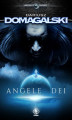 Okładka książki: Angele Dei
