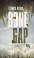 Okładka książki: Zapadła dziura Bone Gap