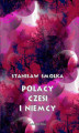 Okładka książki: Polacy, Czesi i Niemcy