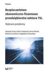 Okładka: Bezpieczeństwo ekonomiczno-finansowe przedsiębiorstw sektora TSL. Wybrane problemy