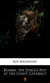 Okładka książki: Bomba, the Jungle Boy at the Giant Cataract 