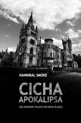 Okładka: Cicha apokalipsa. Zrujnowane pałace Dolnego Śląska