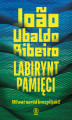 Okładka książki: Labirynt pamięci. Wiwat naród brazylijski!