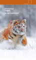 Okładka książki: Tygrys. Na tropie rosyjskiej bestii