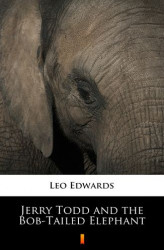 Okładka: Jerry Todd and the Bob-Tailed Elephant