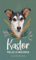 Okładka książki: Kastor