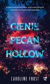 Okładka książki: Cienie Pecan Hollow