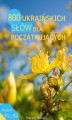 Okładka książki: 800 ukraińskich słów dla początkujących