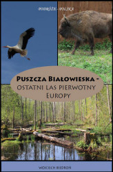 Okładka: Puszcza Białowieska - Ostatni las pierwotny Europy