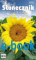 Okładka książki: Słonecznik - uprawa, odmiany, nawożenie, ochrona, zbiór