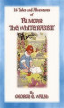 Okładka książki: BUMPER THE WHITE RABBIT - 16 illustrated adventures of Bumper the White Rabbit