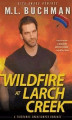 Okładka książki: Wildfire at Larch Creek