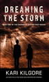 Okładka książki: Dreaming the Storm
