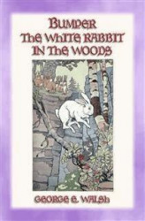 Okładka: BUMPER THE WHITE RABBIT IN THE WOODS - Book 2 in the Bumper the White Rabbit Series