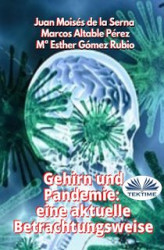 Okładka: Gehirn Und Pandemie: Eine Aktuelle Betrachtungsweise