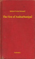 Okładka książki: The Fire of Asshurbanipal