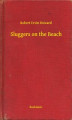 Okładka książki: Sluggers on the Beach