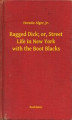 Okładka książki: Ragged Dick; or, Street Life in New York with the Boot Blacks