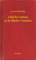 Okładka książki: A Bid for Fortune or Dr Nikola's Vendetta