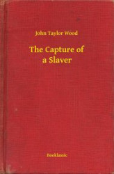 Okładka: The Capture of a Slaver